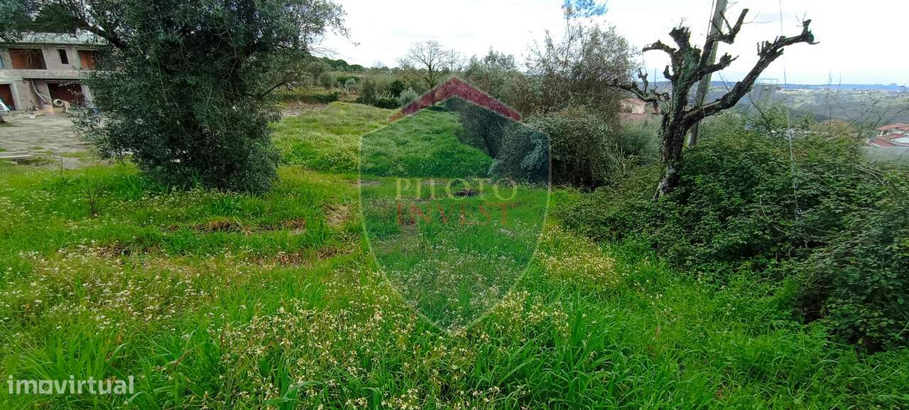 Lote de Terreno  Venda em São João de Lourosa,Viseu - Grande imagem: 4/6
