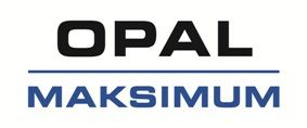 MAKSIMUM Sp. z o.o. HOLDING S.K.A. Logo