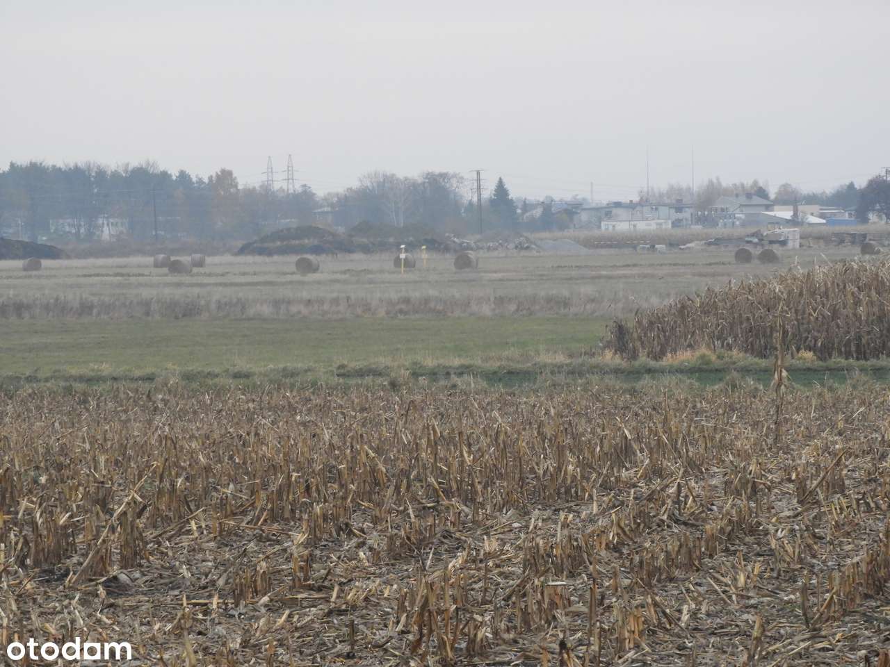 Działka 15 000 m² w Chojęcinie przy nowym osiedlu mieszkaniowym-11