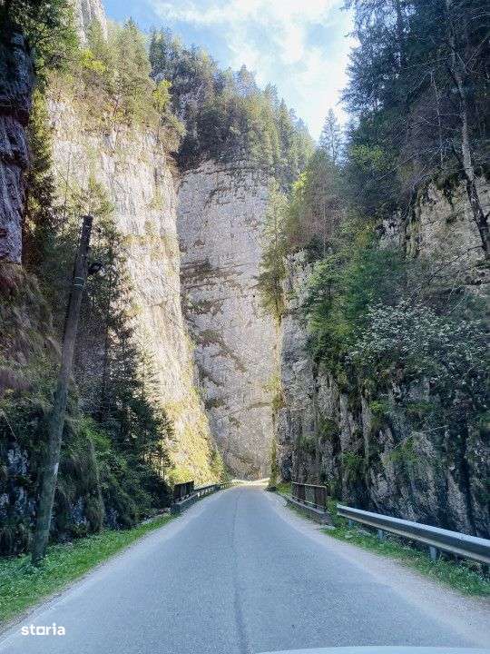 Teren panoramic insorit, utilitati, panta mica si padure, turism sau v-9
