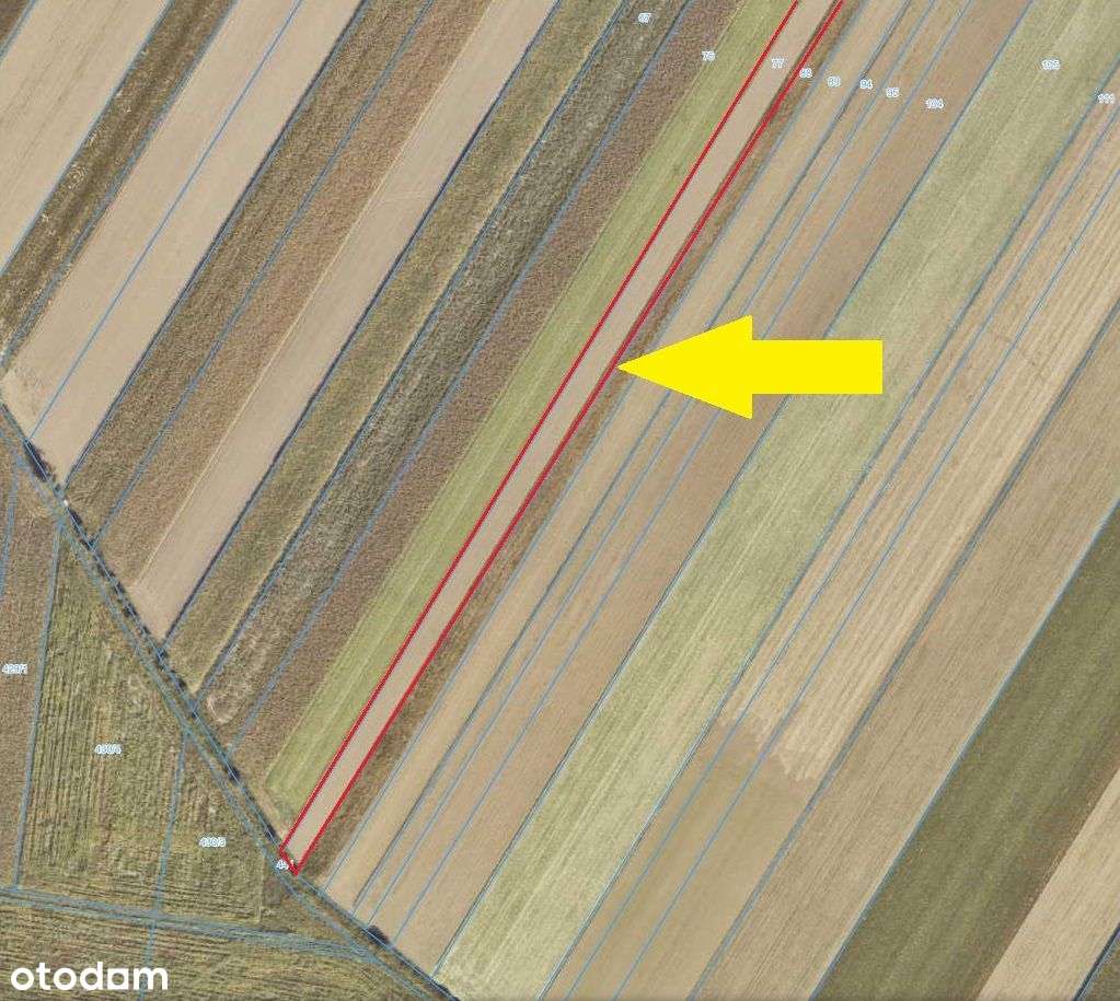 Grunt rolny 1,56 ha, dobra klasa, Sławoszew - Pełny obrazek: 5/12