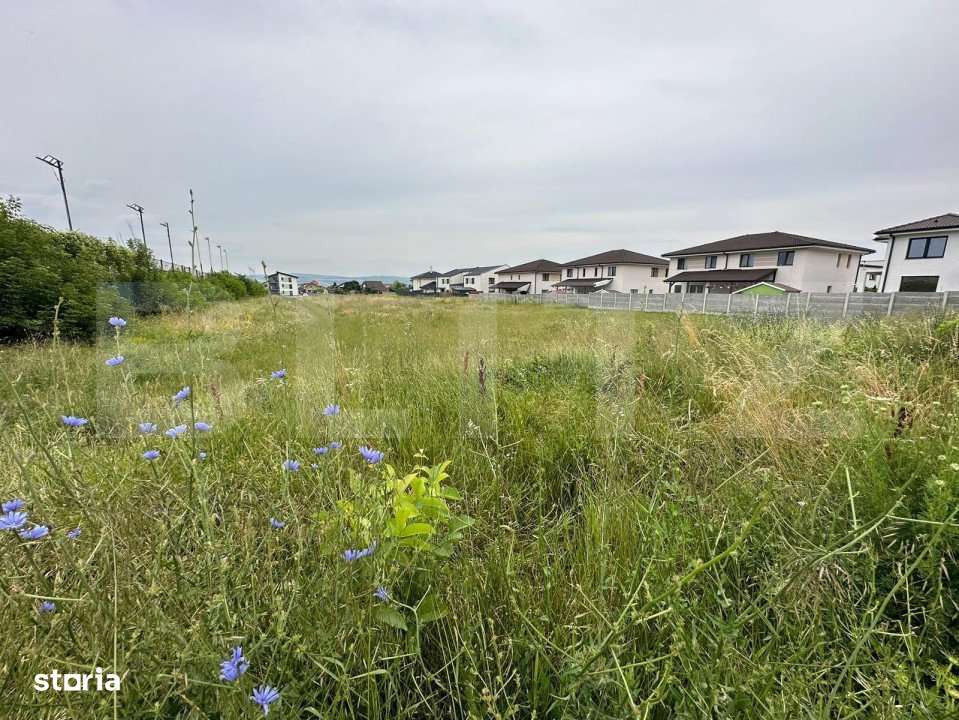 Teren intravilan, 7441mp, zona Lidl Cetate - Imagine principală: 2/2