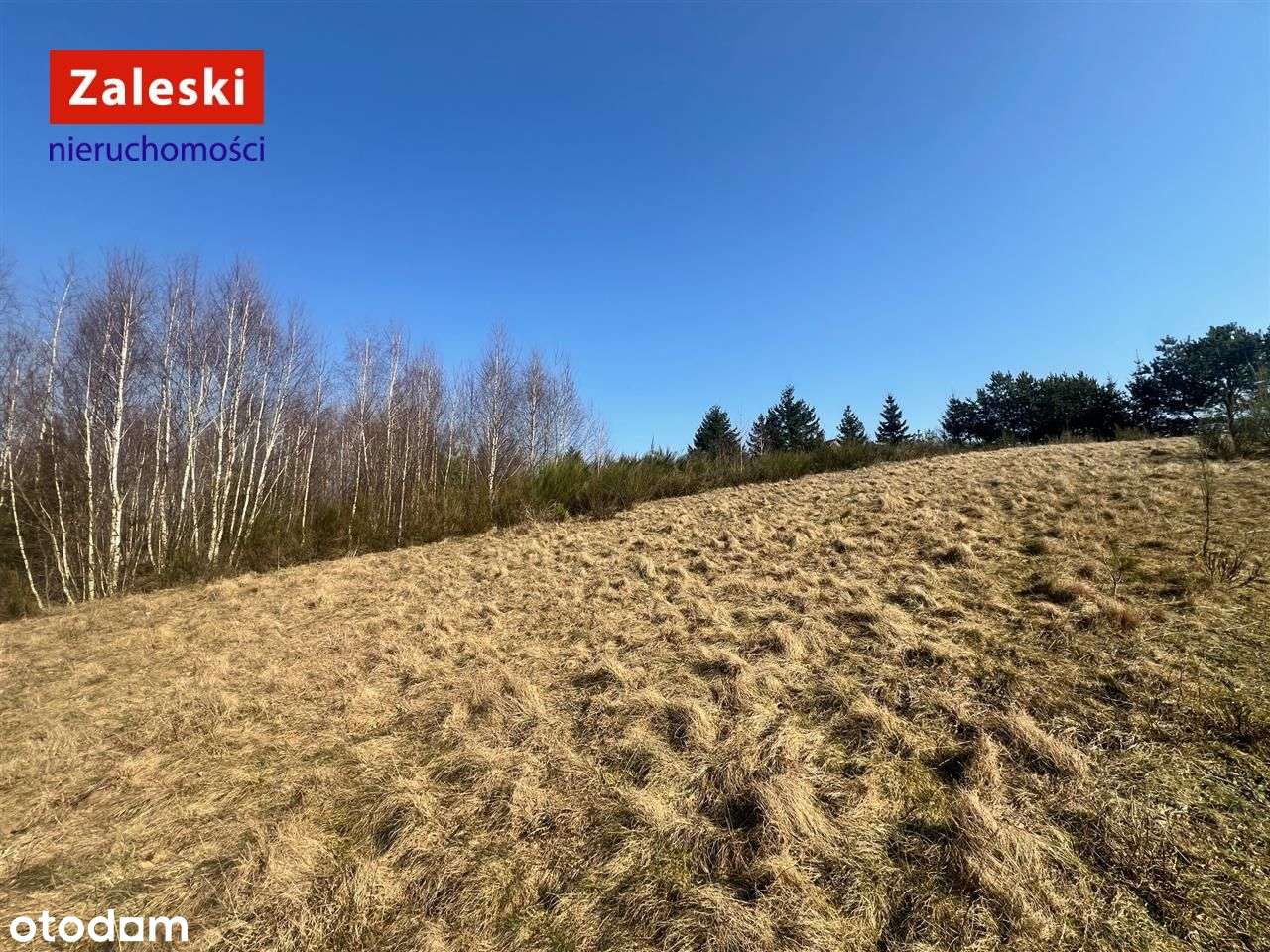 Działka siedliskowa w wydanymi warunkami zabudowy - Pełny obrazek: 5/8