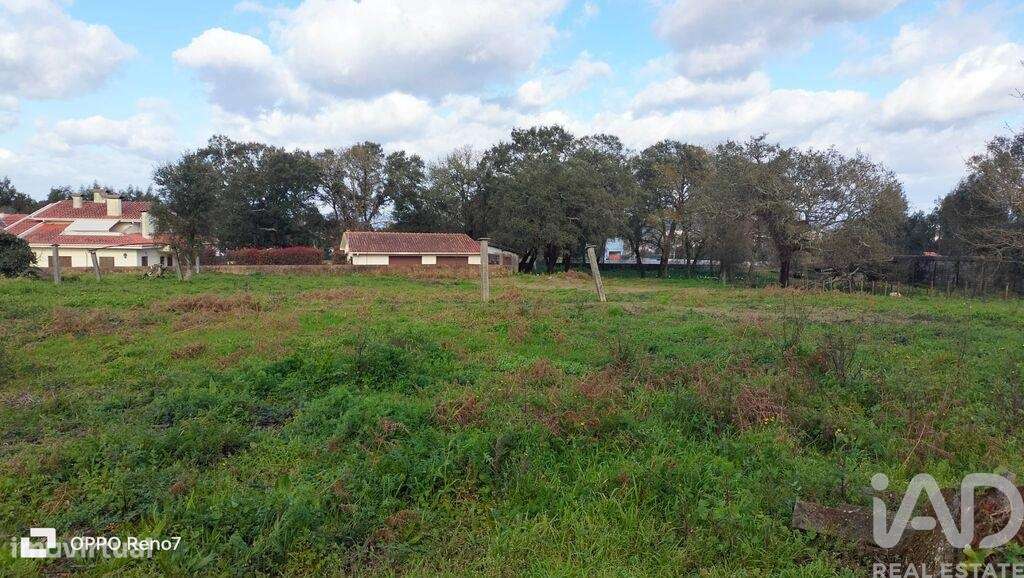 Quinta T4 em Fiães de 14751,00 m2 - Grande imagem: 5/27