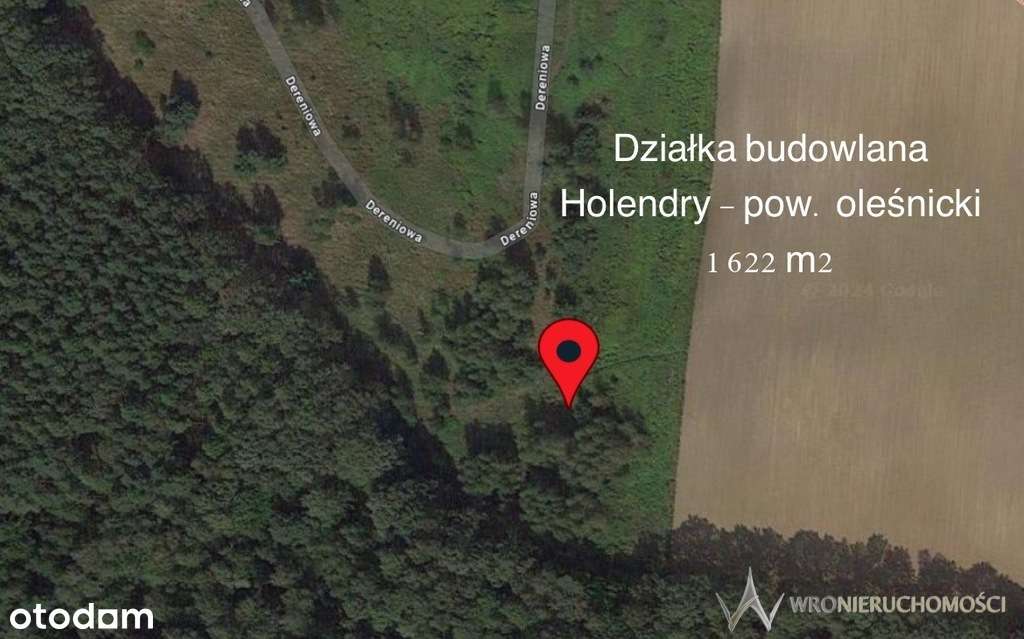 Duża działka budowlana w Holendrach - Pełny obrazek: 5/6
