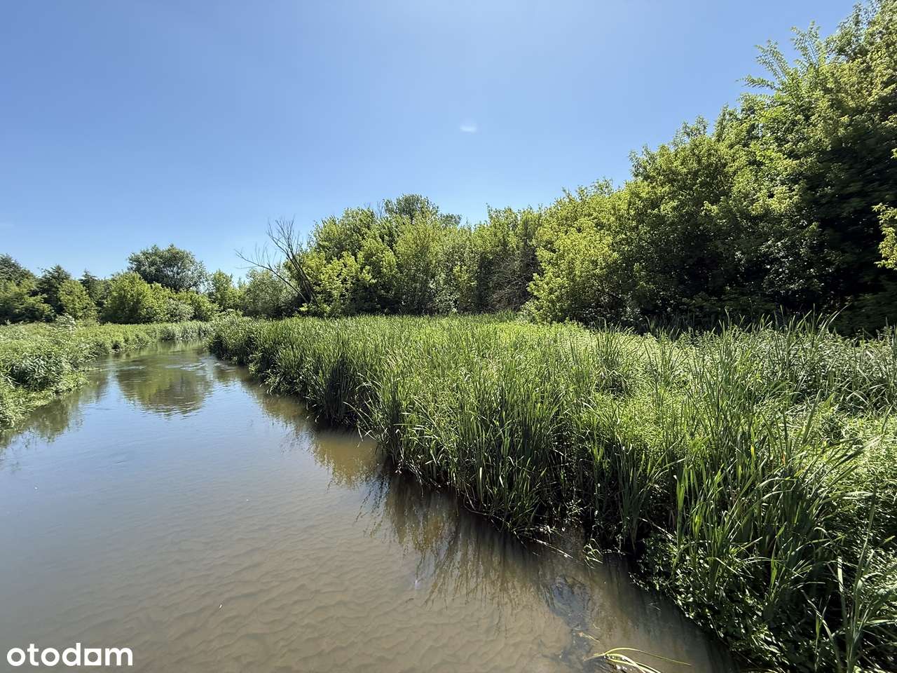 Przepiękna działka leśno - budowlana, w dorzeczu Warty, Kłobukowice !-8