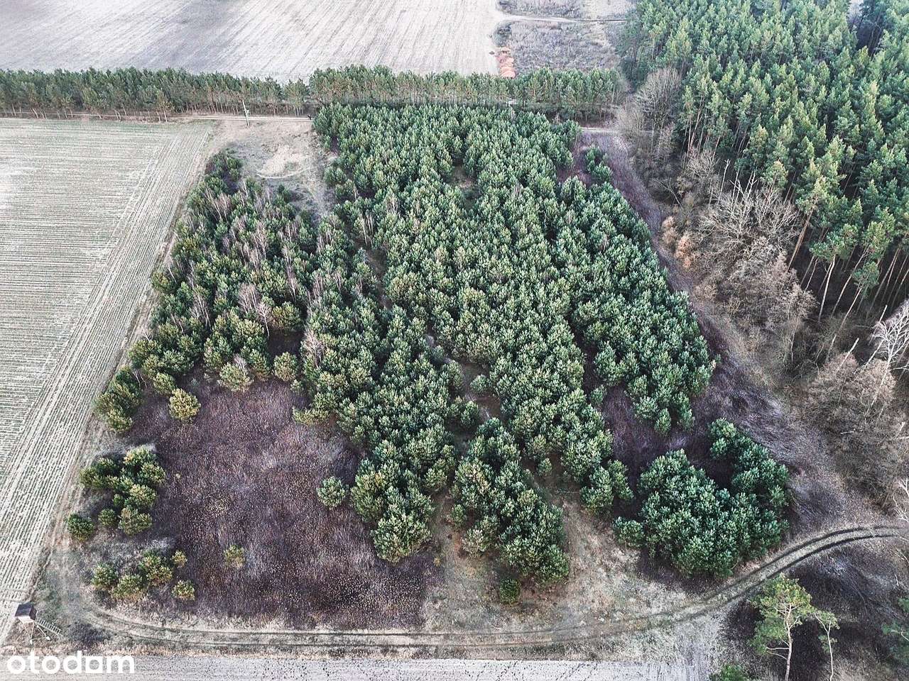 Gdzie horyzont nie ma granic-5