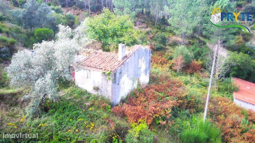 Imóvel rústico situado a poucos minutos da Vila da Sertã - Grande imagem: 5/15