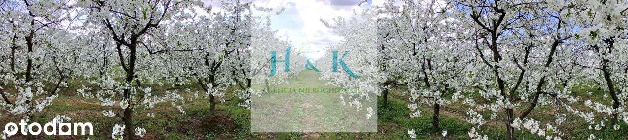 Duża działka budowlana w okolicy Konstancina-Jezio-8