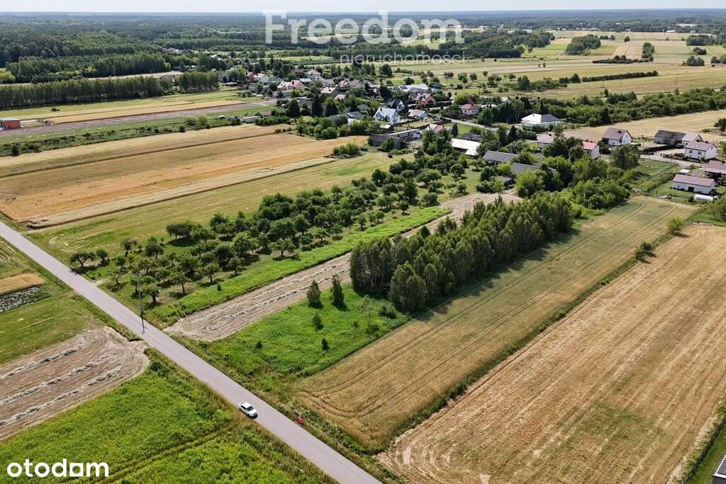 Działka 890m2 10 km od Mińska Mazowieckiego - Pełny obrazek: 4/9