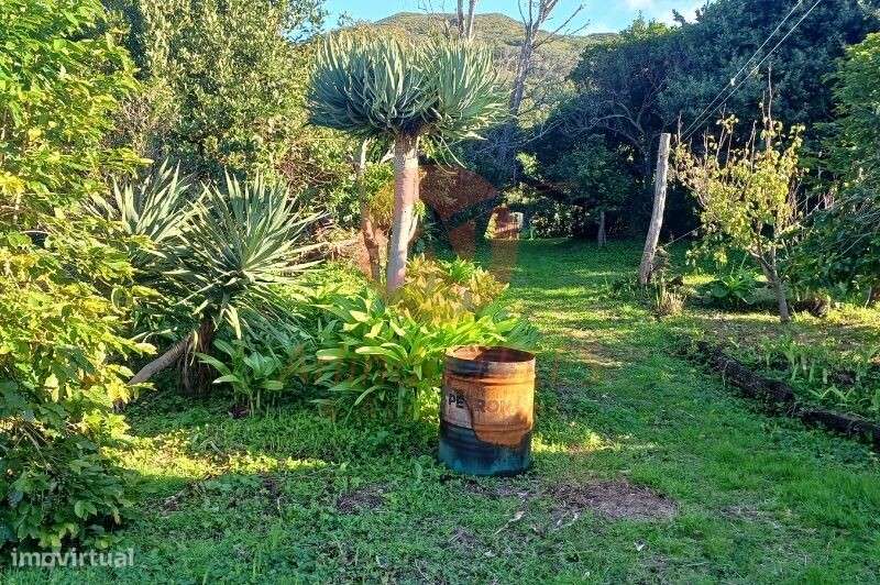 Venda Moradia - Grande imagem: 4/49