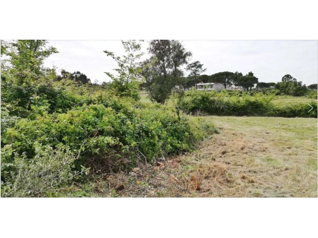 Terrenol na Zona de Sintra - Grande imagem: 5/10