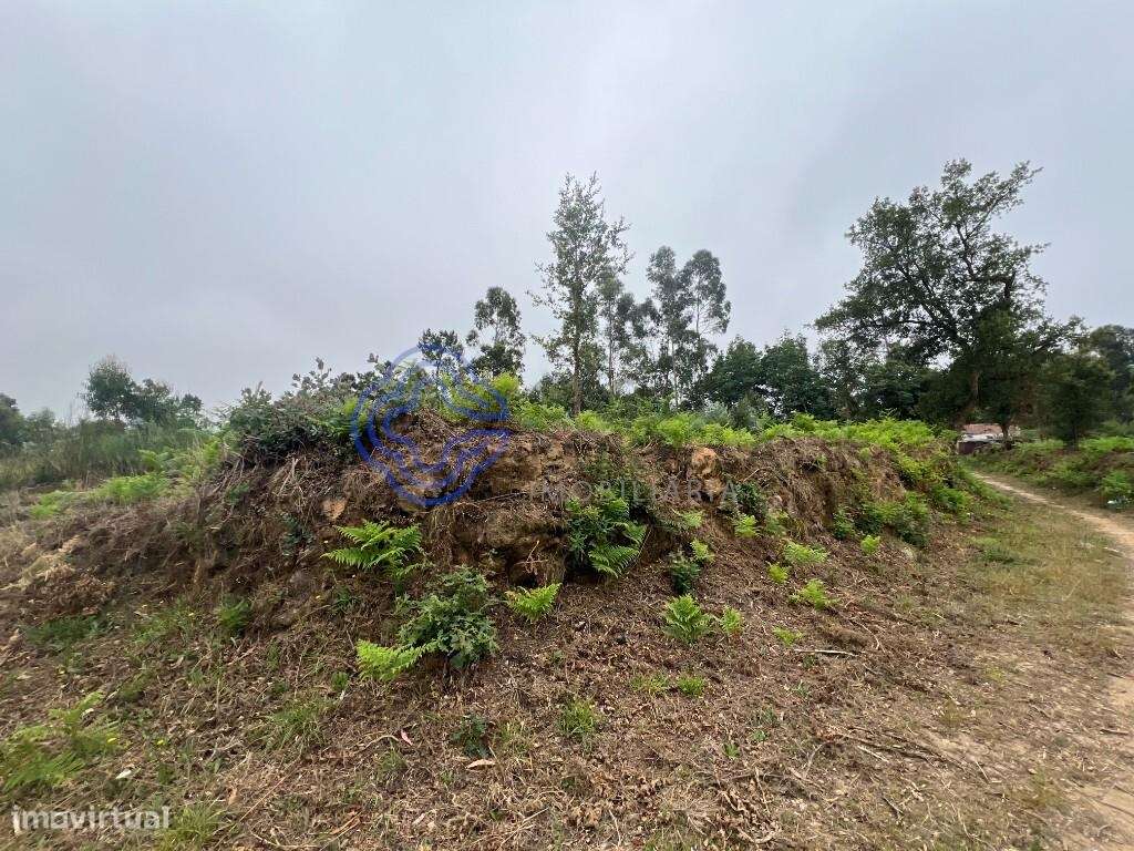 Terreno Rústico para Construção - Grande imagem: 5/18