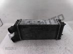 Radiador Intercooler  Peugeot 307 - 1