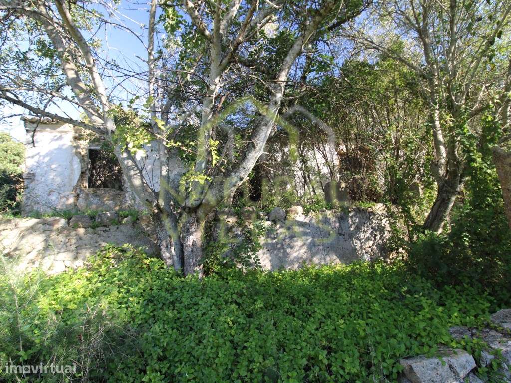 Terreno e Ruína Virado a Sul em Azinheiro, Estoi - Grande imagem: 4/15