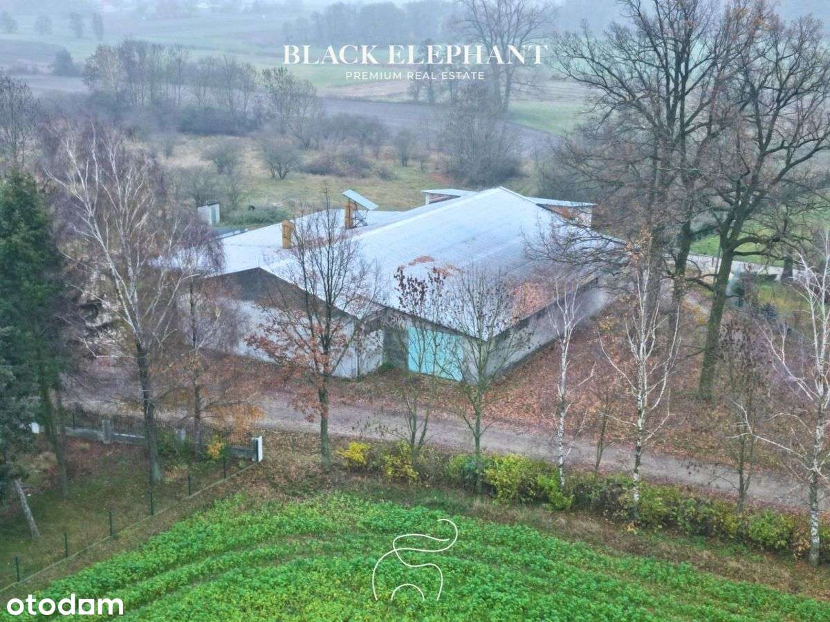 Hala magazynowo-produkcyjna z zapleczem biurowym - Pełny obrazek: 2/8