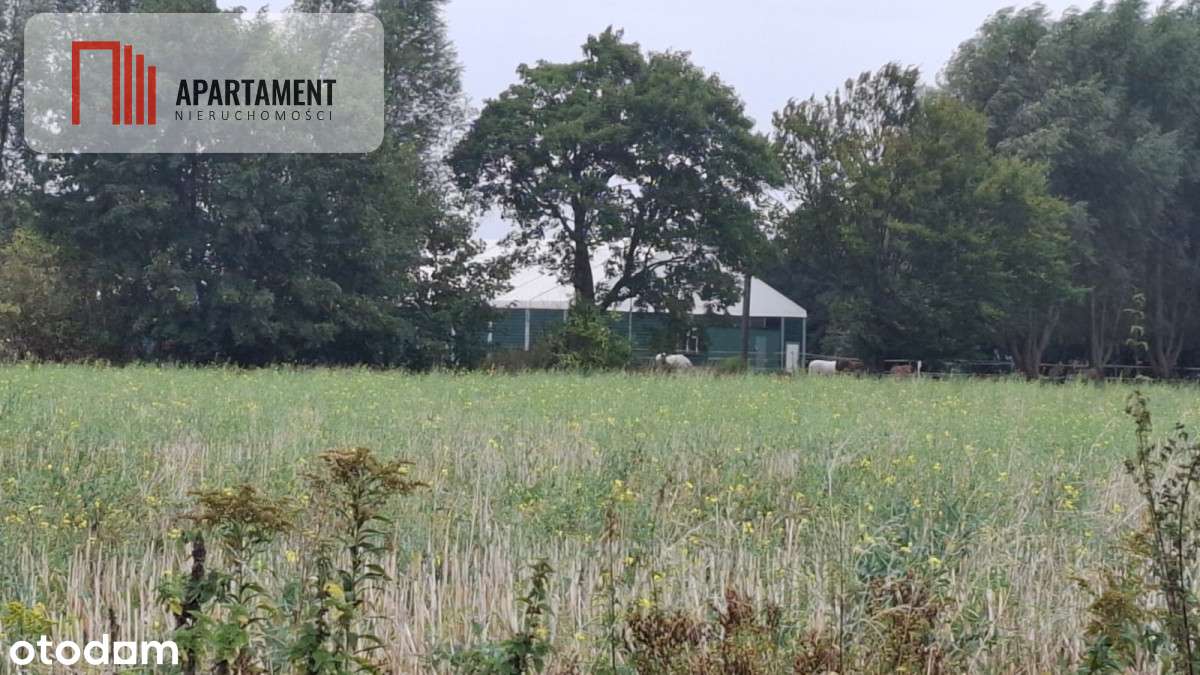 Działka Pod Zabudowę Mieszkaniową Z Warunkami Zab - Pełny obrazek: 4/5