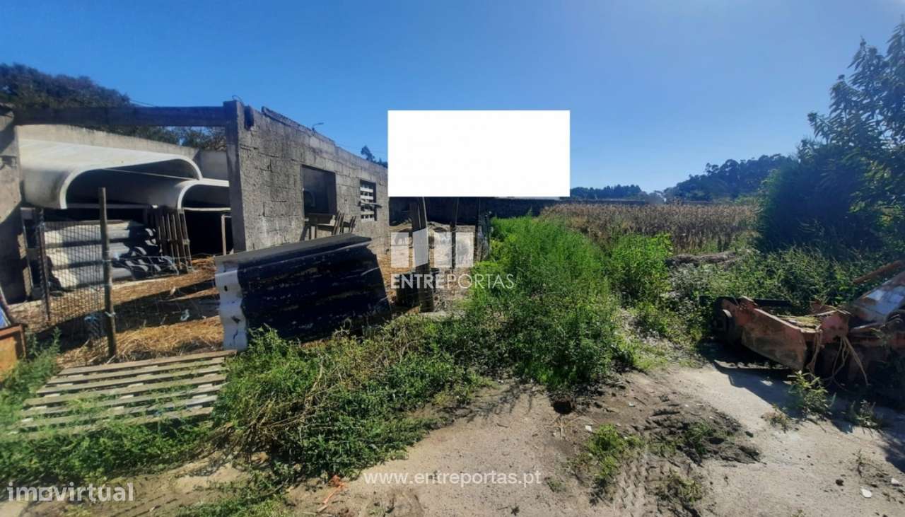 Venda de Terreno com 1200 m2, Tougues, Vila do Conde - Grande imagem: 5/11