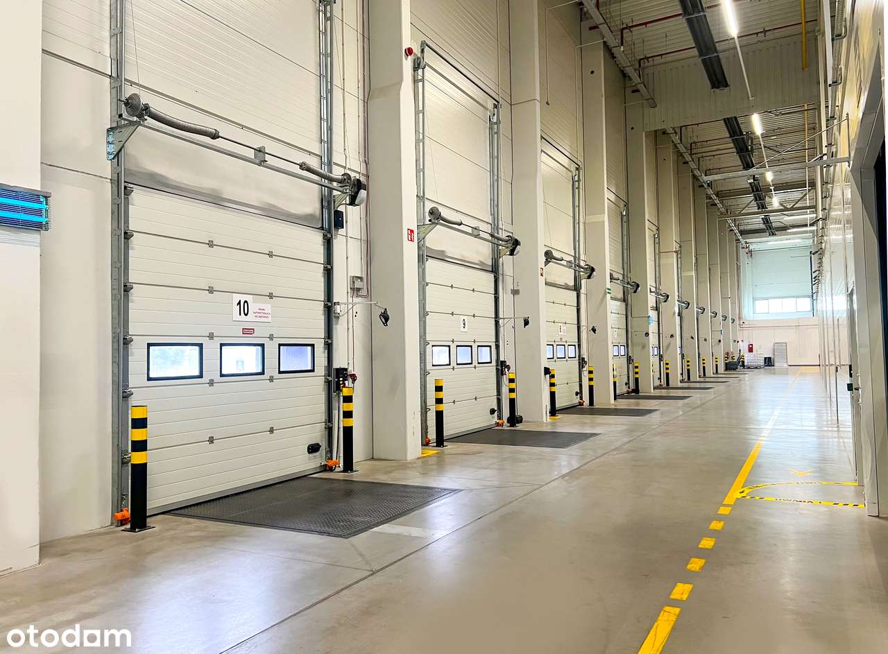 Hala magazynowo-produkcyjna - Pełny obrazek: 5/18