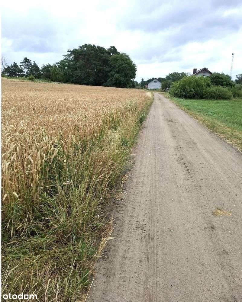 Działka, 985 m², Grzebienisko-5