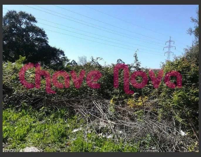 PS - Terreno para construção moradia - Grande imagem: 3/3