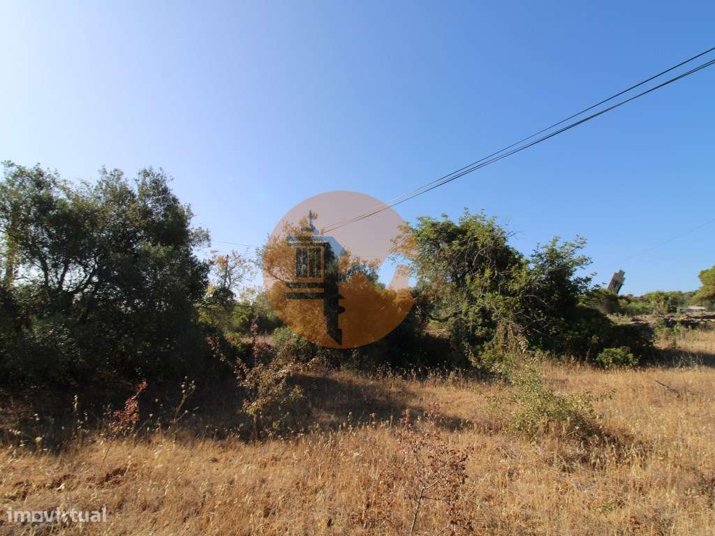 Terreno rústico com 1.640 m2 - Grande imagem: 5/13