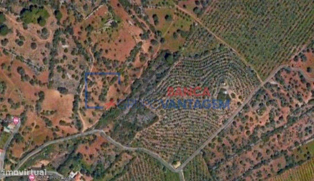 Terrenos mistos, 21 880m2, localizados no Sítio das Fontainhas, Con... - Grande imagem: 4/7