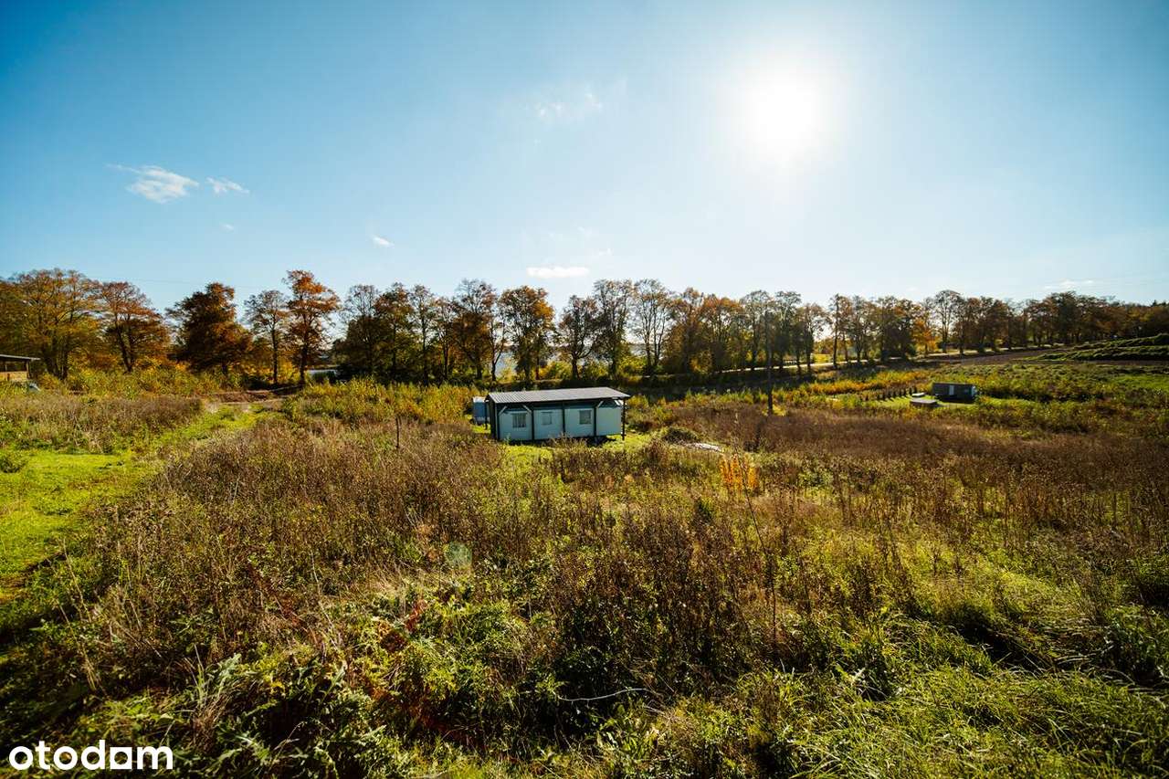 Ostatnie 7 działek nad jeziorem Dzierzgoń!-9
