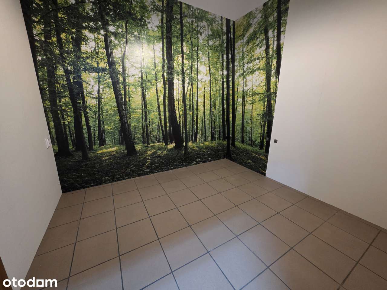 wejście z ulicy, parking, witryna - Pełny obrazek: 5/15