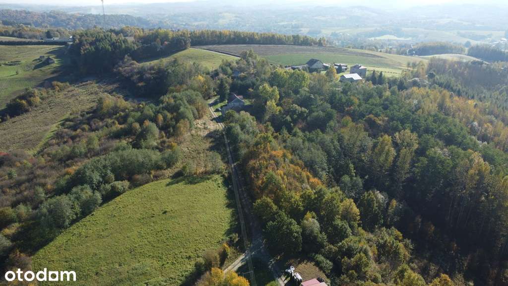 Gospodarstwo z domem 4ha ziemi-8