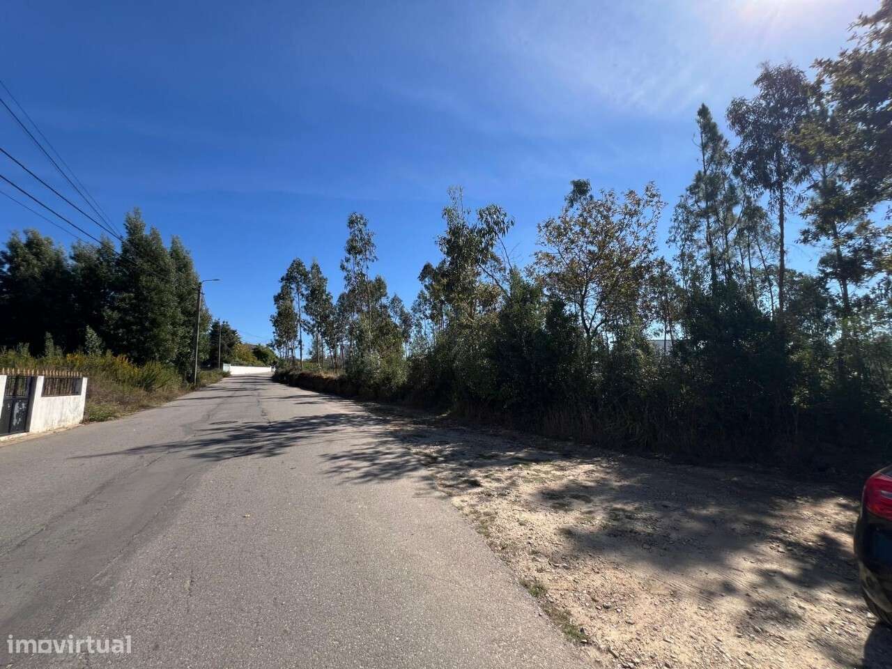 Terreno Pinheiro da Bemposta - Grande imagem: 4/6