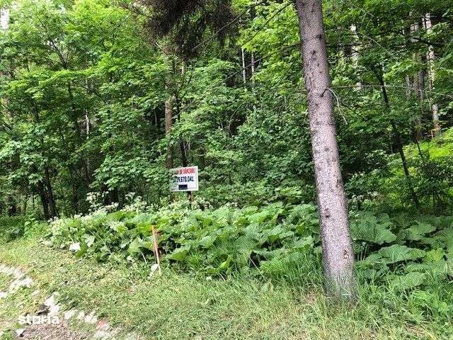 Teren intravilan in Busteni - 3000869 OFERTA - Imagine principală: 2/10