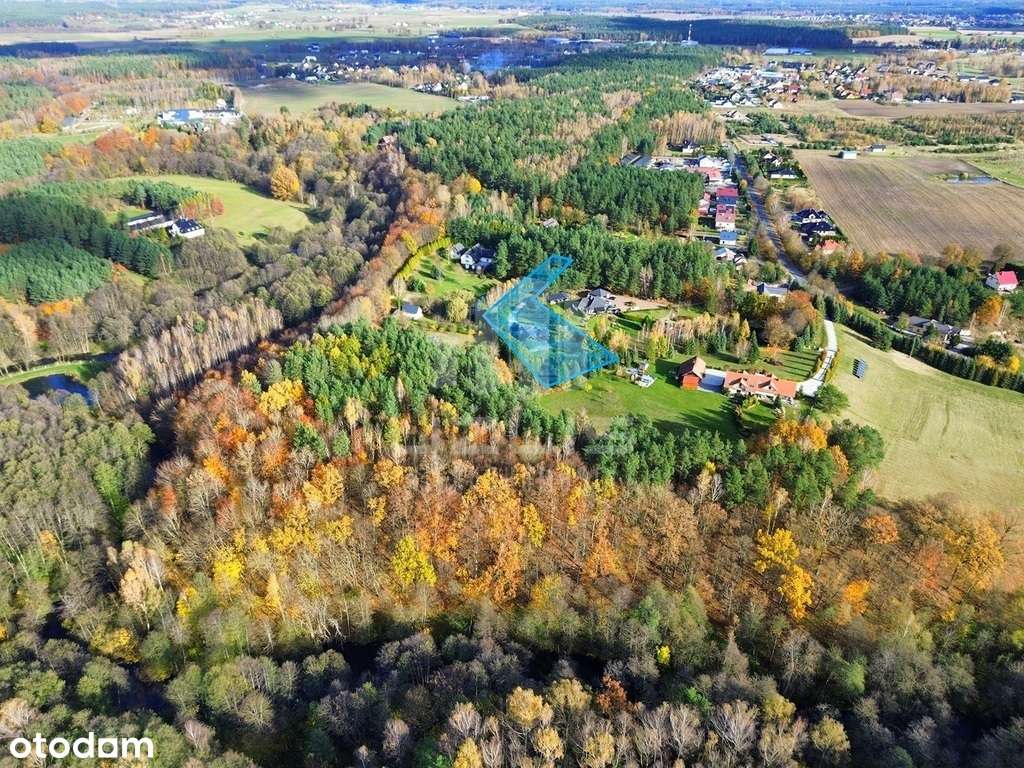 Dom z bali z piękną działką, las, rzeka - Pełny obrazek: 3/20