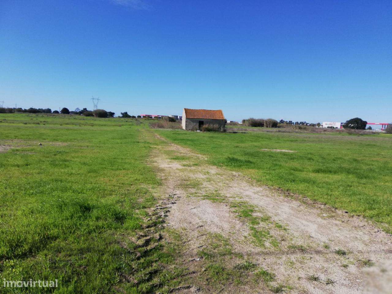 Terreno Junto á A33, 4,7 ha, boa localização várias possibilidades - Grande imagem: 3/9