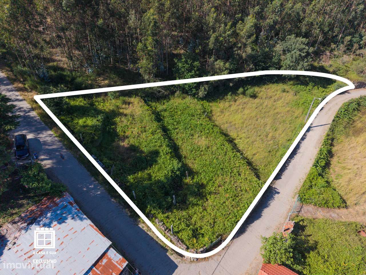Quinta para restaurar em Macieira de Cambra - Exclusivo-19