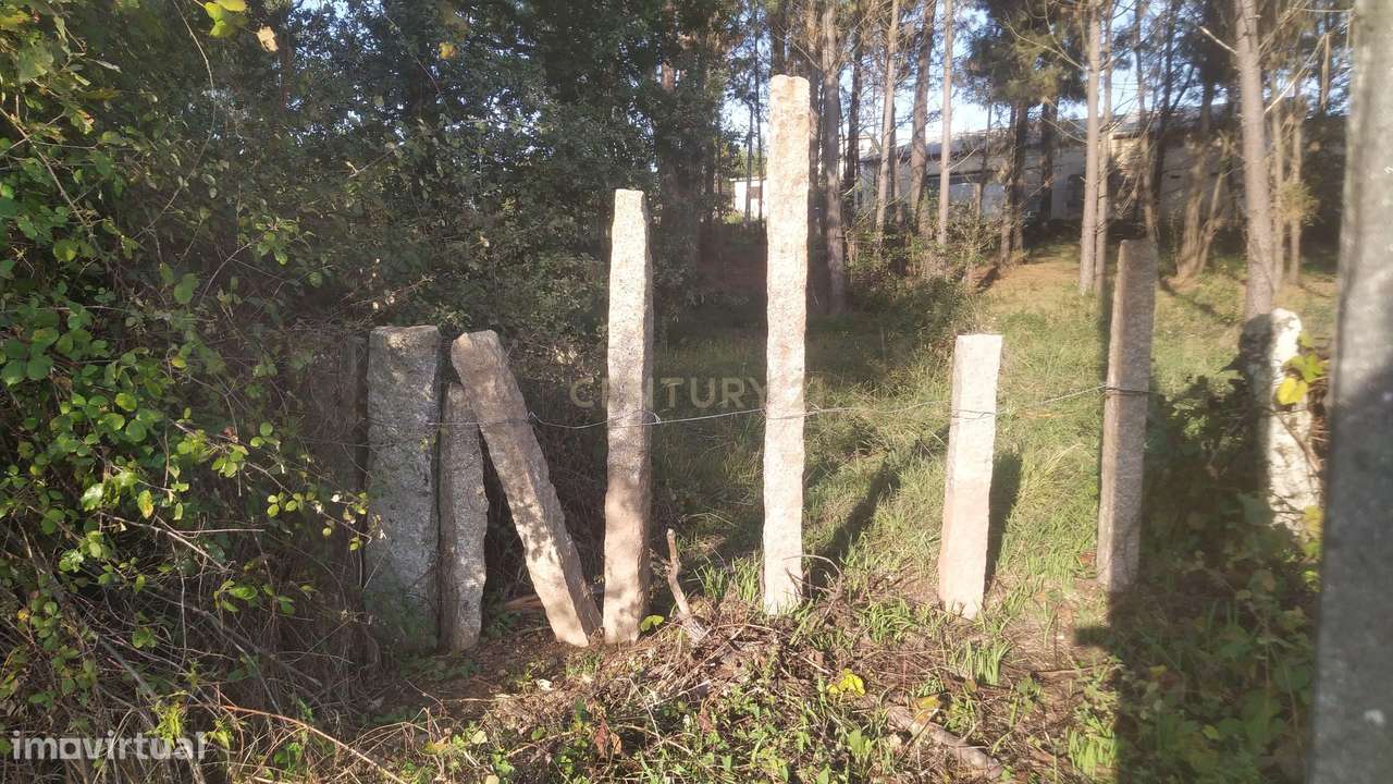 Terreno em Vila Verde com Viabilidade de Construção e Luz Natural - Grande imagem: 4/39