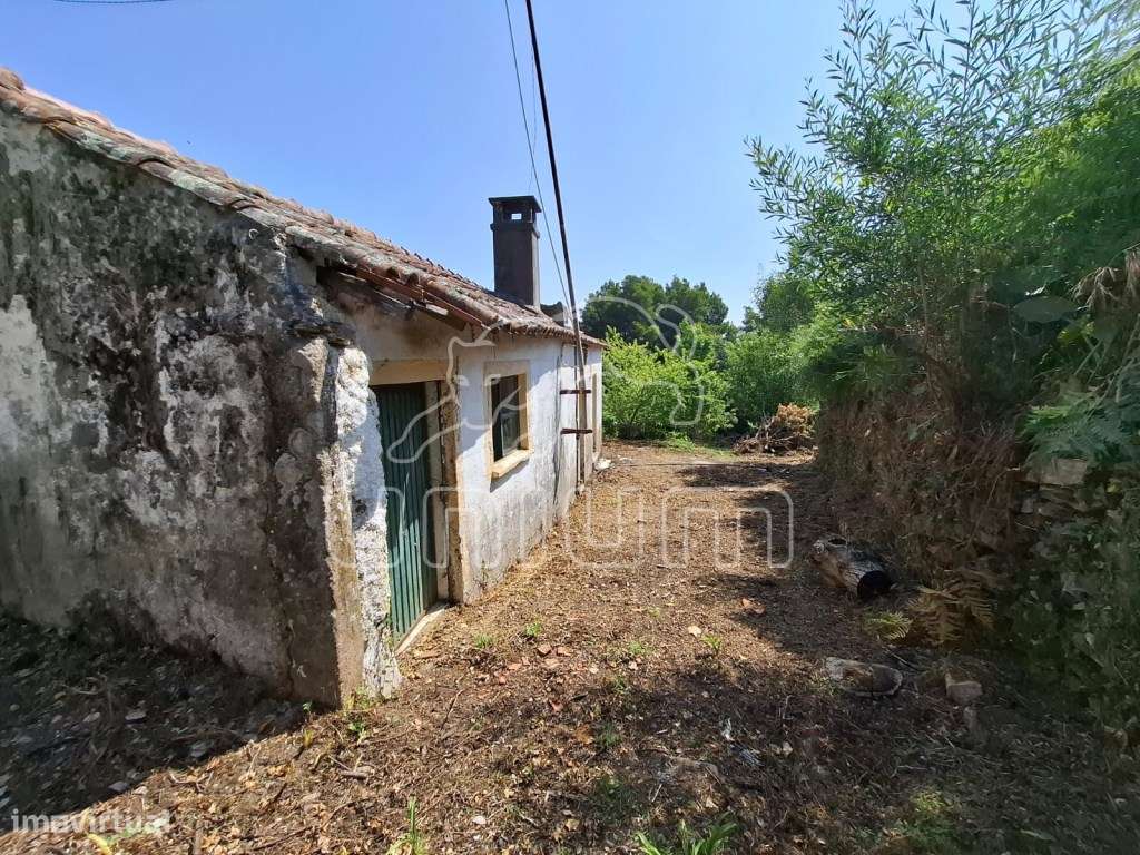 Moradia Lanheses - Grande imagem: 2/14