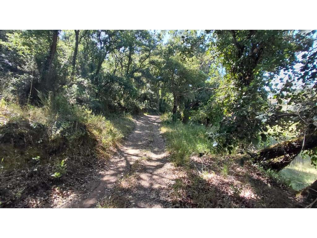 Lote em São Teotónio-25