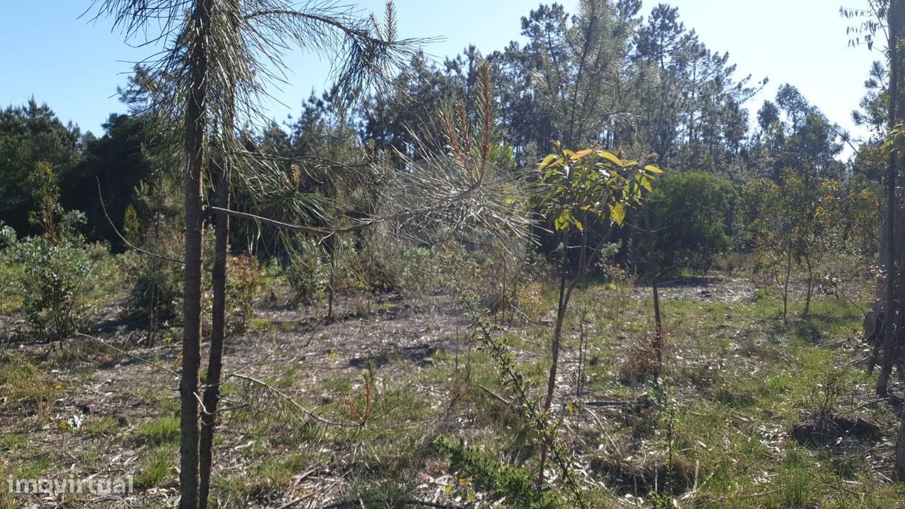 Terreno  para venda - Grande imagem: 2/3