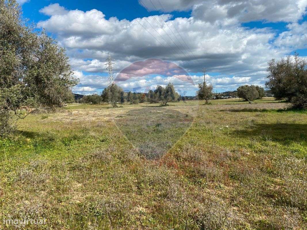 Terreno  para venda - Grande imagem: 4/6