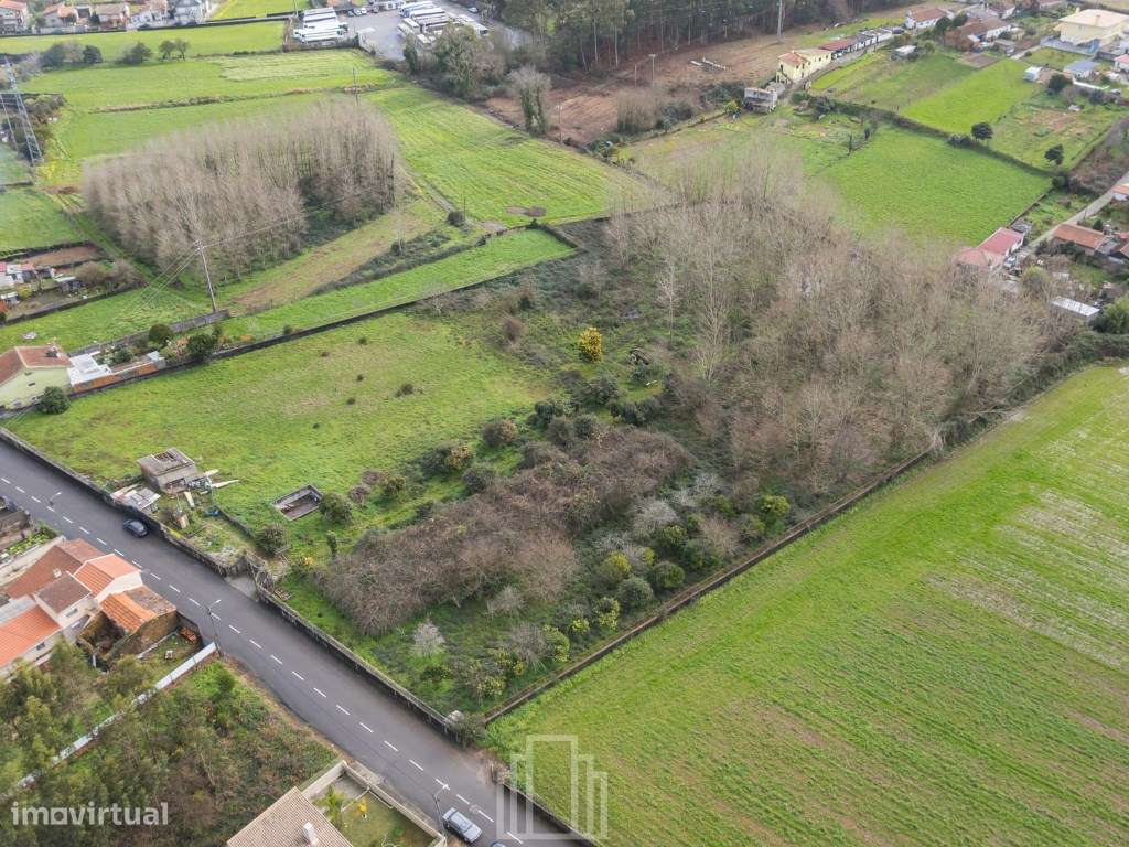 Terreno rústico - S. Miguel do Souto - Grande imagem: 2/6