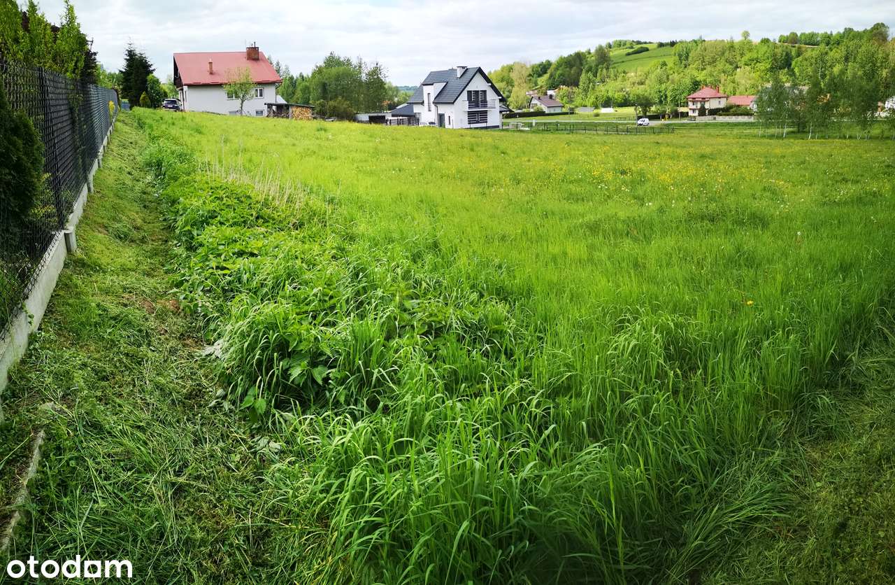 Działka, 5 000 m², Hyżne - Pełny obrazek: 4/8