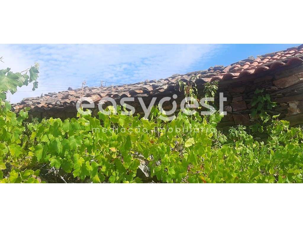 Moradia para recuperar na localidade de Quinta das Pereiras, Carviçais - Grande imagem: 5/12