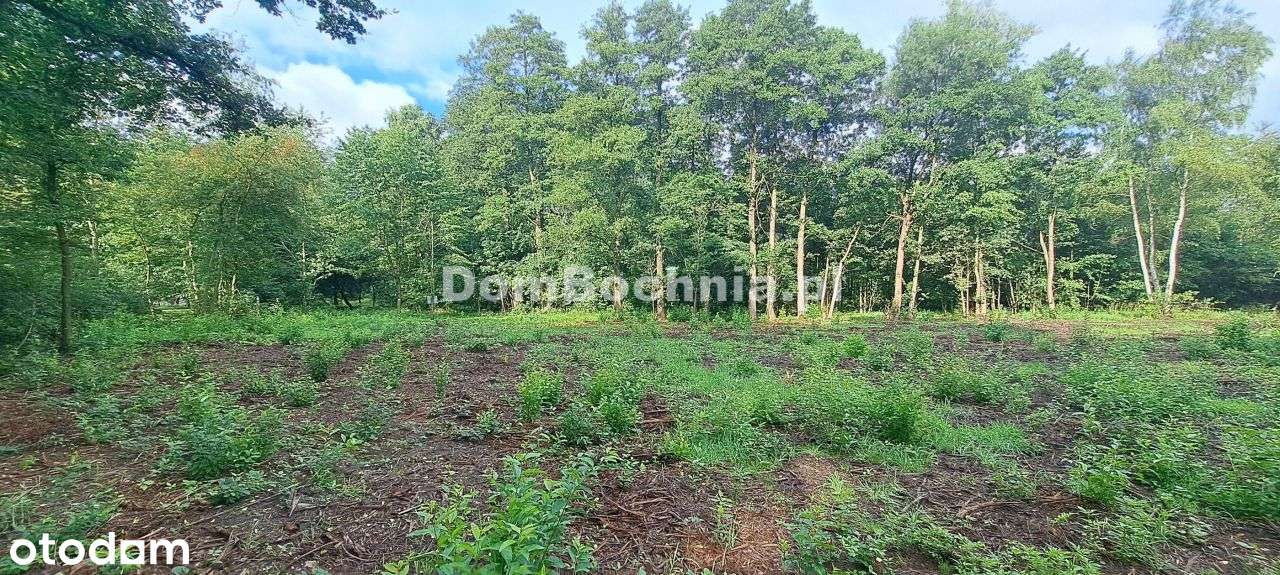 Bratucice 56ar działka budowlana Rzezawa - Pełny obrazek: 5/12