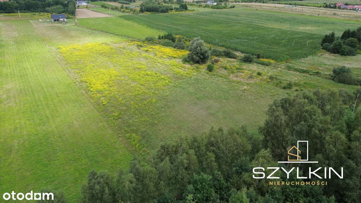 Działka budowlana w Mozowie k. Sulechowa (306/11) - Pełny obrazek: 4/4