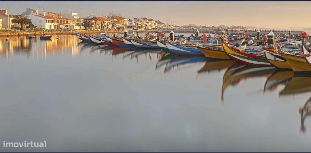 Terreno Rústico à Venda na Murtosa – Quintas do Norte - Grande imagem: 4/8