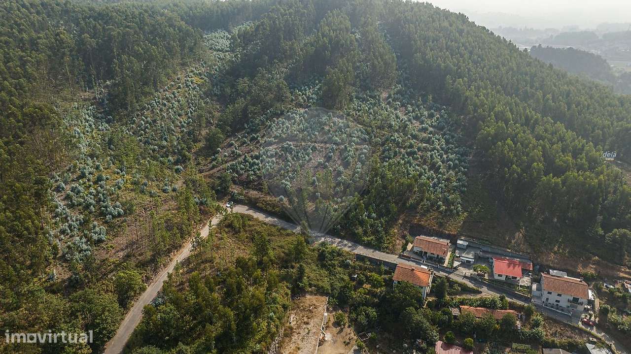 Terreno  para venda - Grande imagem: 5/16