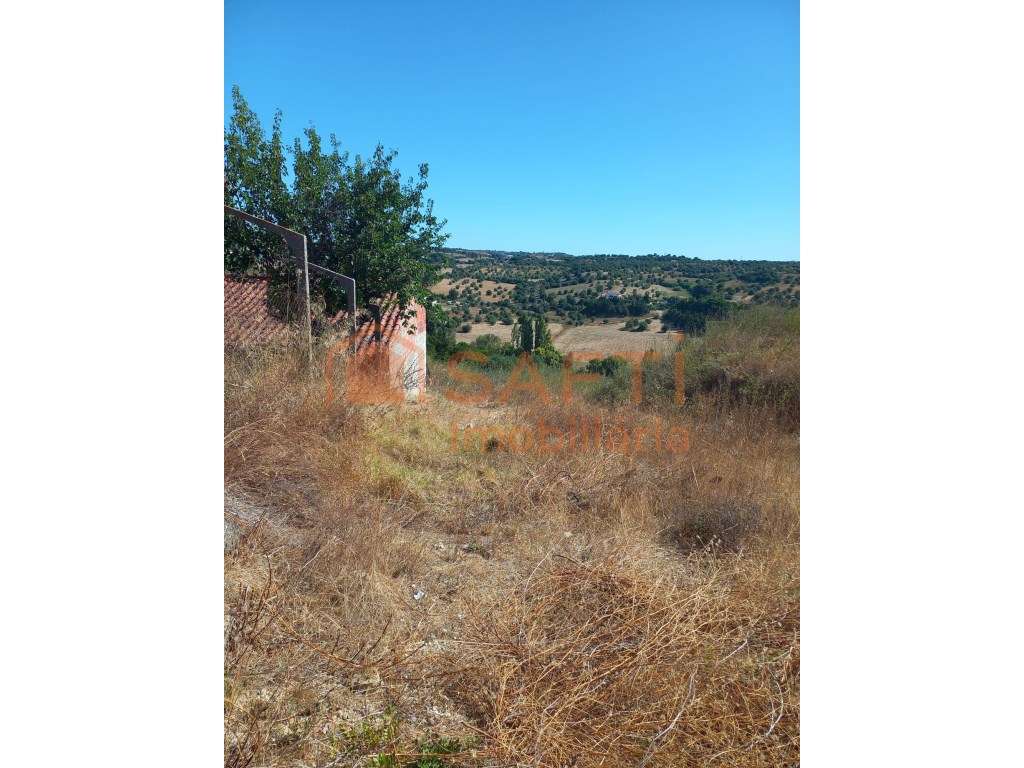 Terreno Rústico Para Venda - Grande imagem: 5/7