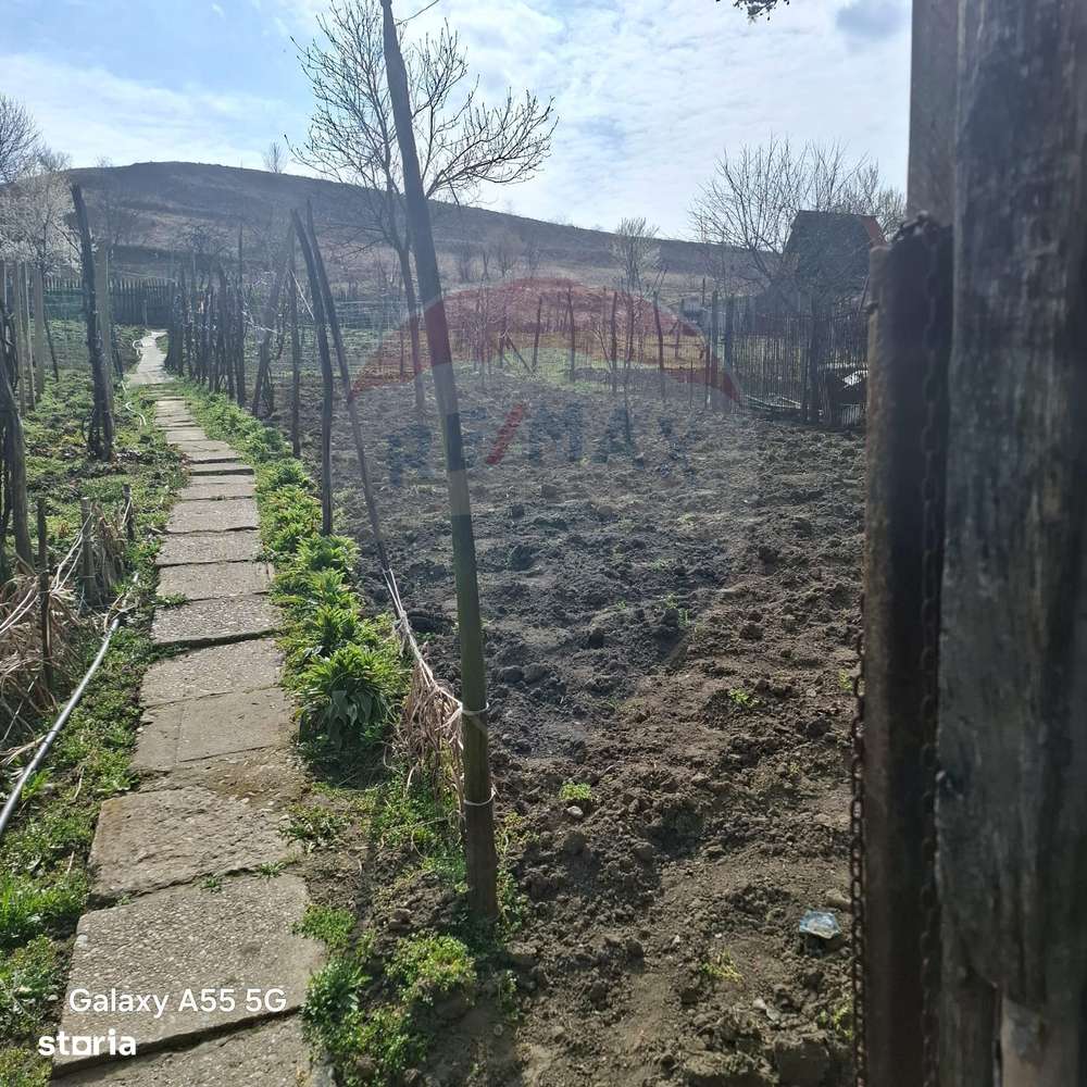 Casă cu 3 camere aproape de Medias in loc. Tarnava str. Dumbravii 58-7