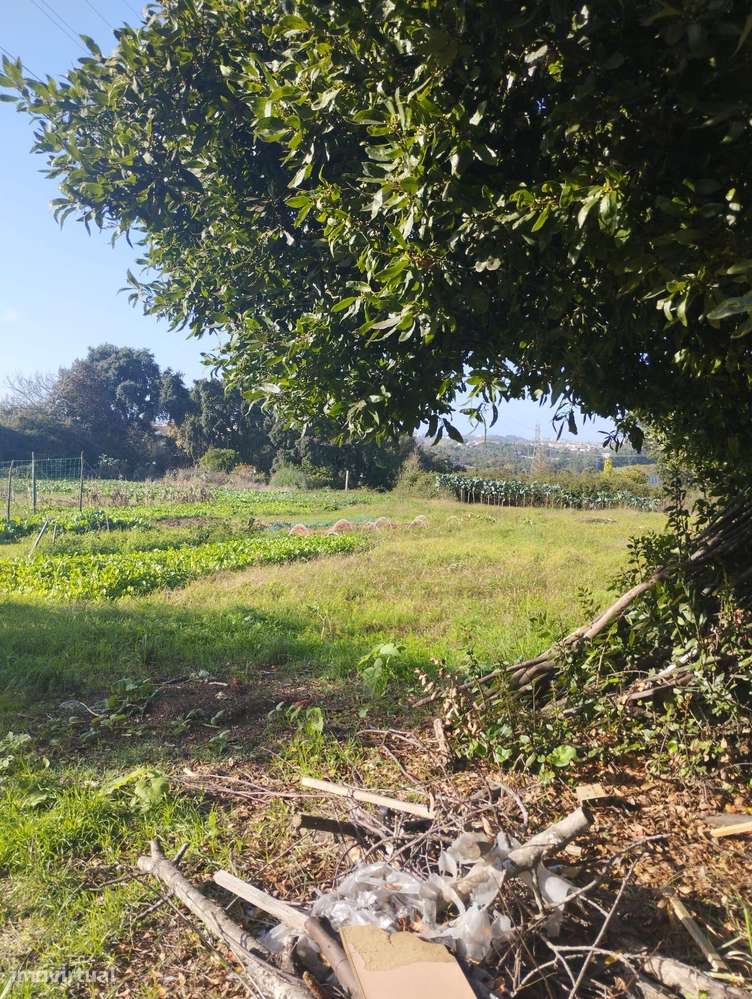 Terreno em Gondomar com Excelente Localização - Grande imagem: 5/14